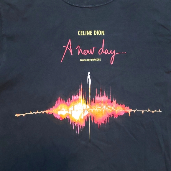 Vintage Celine Dion A New Day - Picture 3 of 6